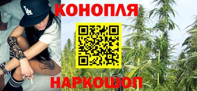 гидропоника Кунгур